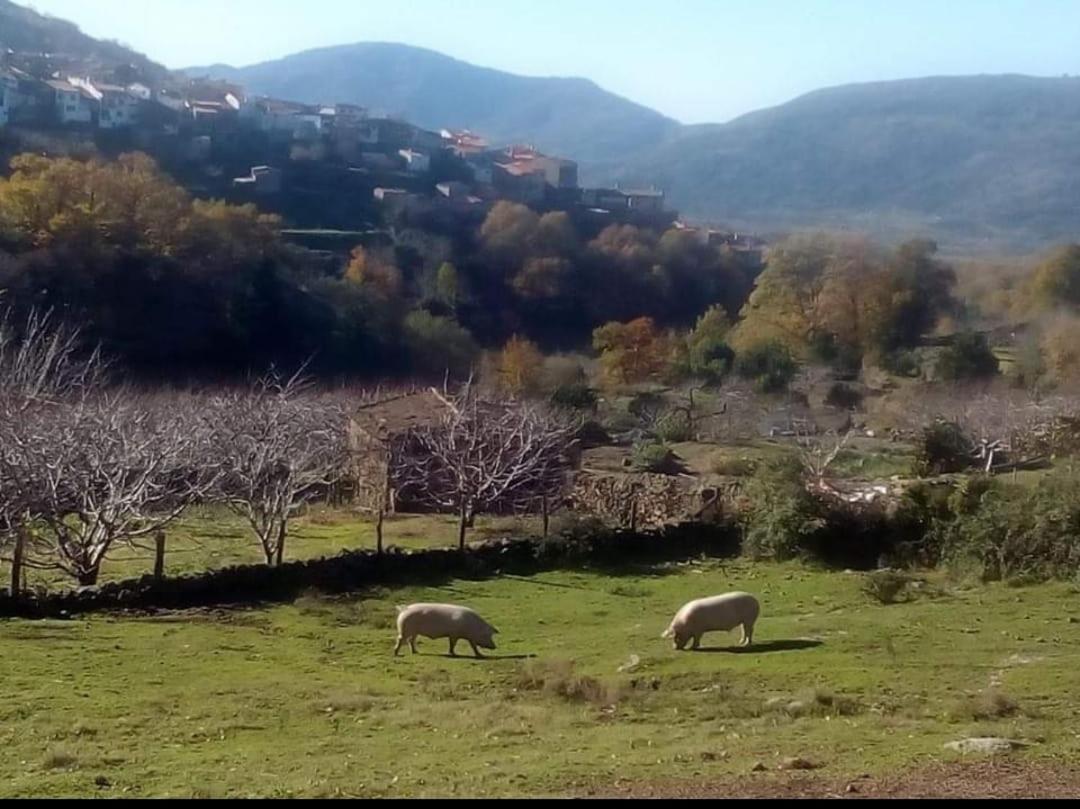 El Nido, Casa Rural Casas del Castañar Dış mekan fotoğraf